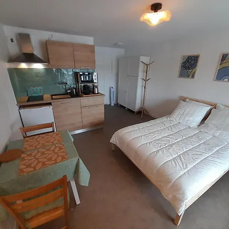 Moderne Renove Au Bord Du Pour Deux Personnes A Vieux Boucau - Fr-1-239-991 Lejlighed Soustons